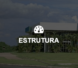 Estrutura